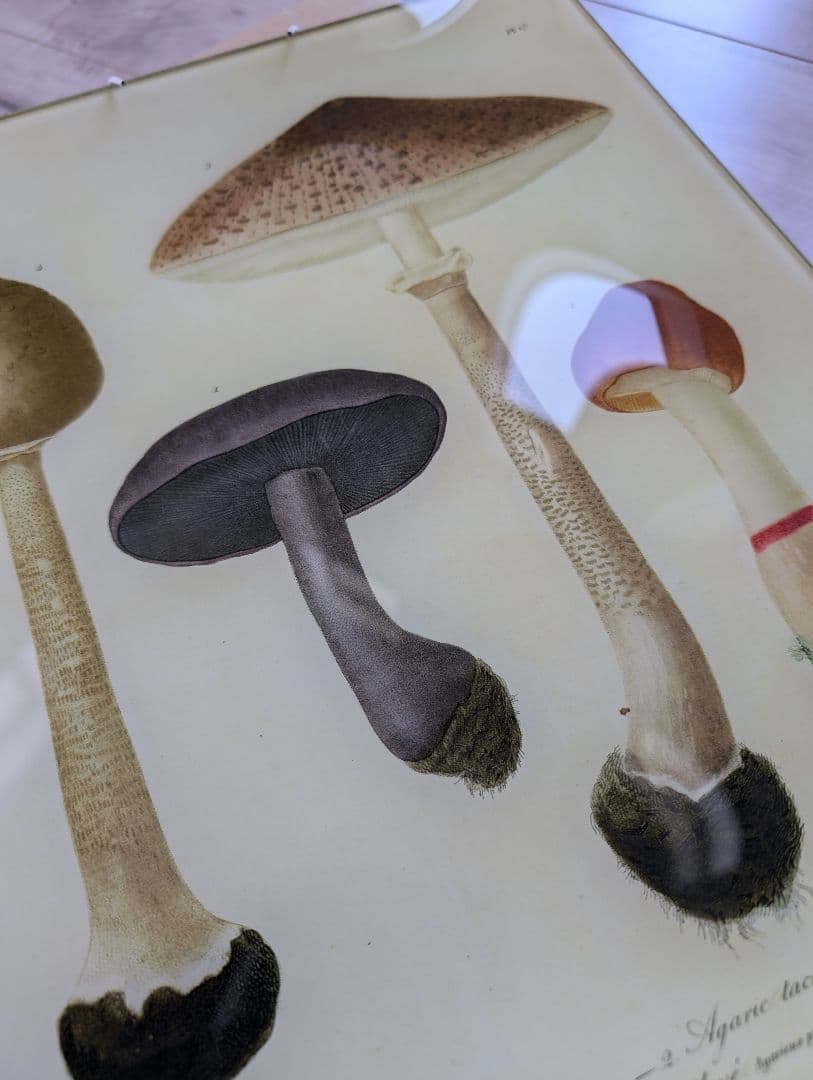 ジョンデリアン　デコパージュ　ガラスプレート　ハンガー付き