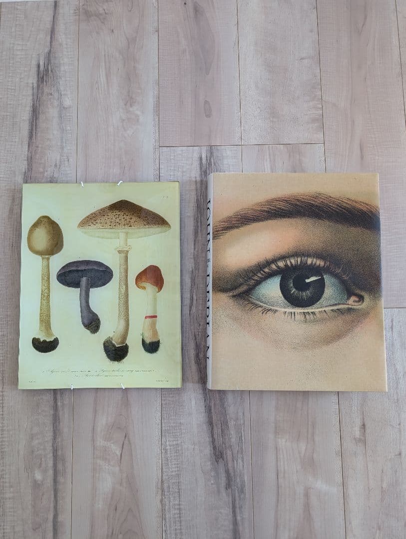 ジョンデリアン　デコパージュ　ガラスプレート　ハンガー付き