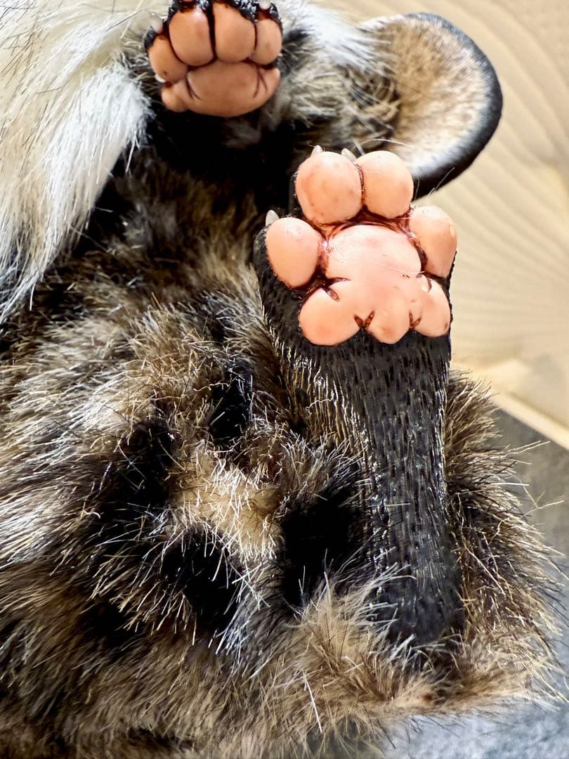 アートドール ハンドメイド 幻獣 海外作家 稲荷キツネ 山猫柄 ぬいぐるみ 人形