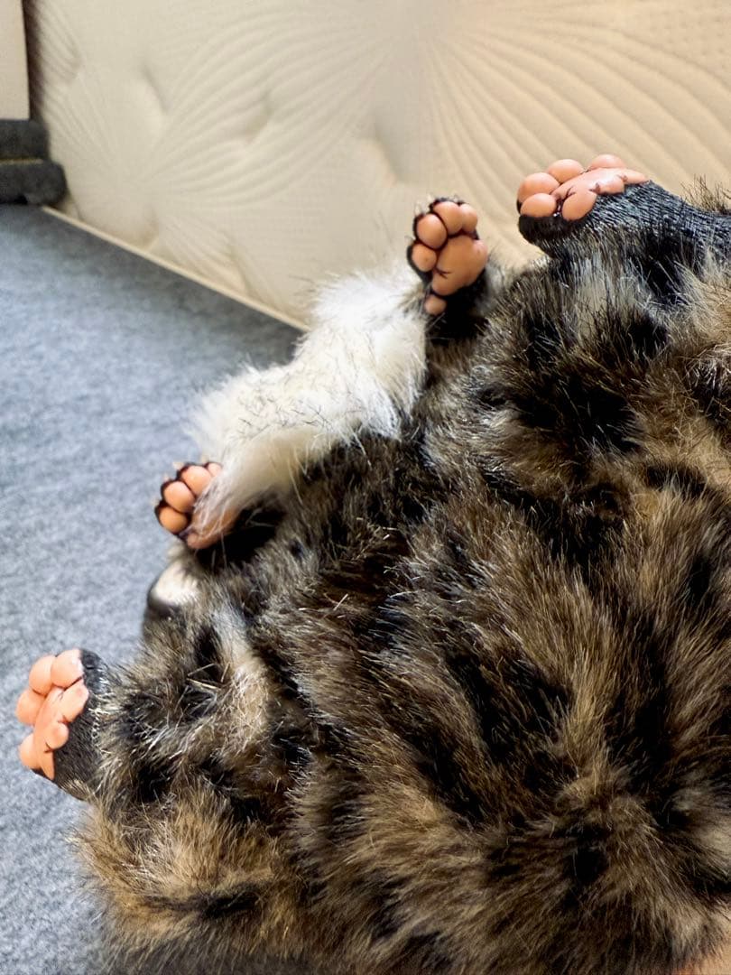 アートドール ハンドメイド 幻獣 海外作家 稲荷キツネ 山猫柄 ぬいぐるみ 人形