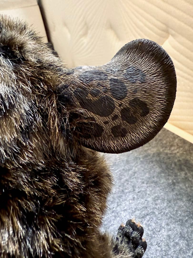 アートドール ハンドメイド 幻獣 海外作家 稲荷キツネ 山猫柄 ぬいぐるみ 人形