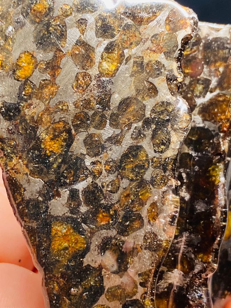 パラサイト隕石 258g 隕石 石鉄隕石 筆立て セリコ隕石 隕石原石