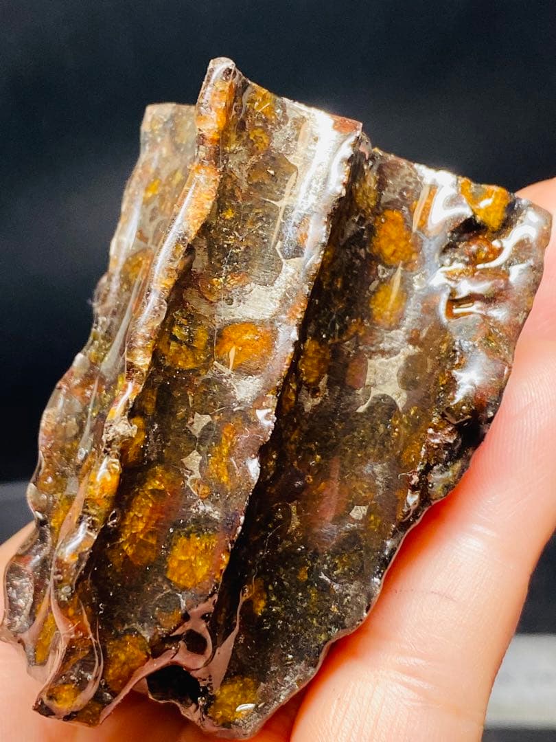 パラサイト隕石 258g 隕石 石鉄隕石 筆立て セリコ隕石 隕石原石