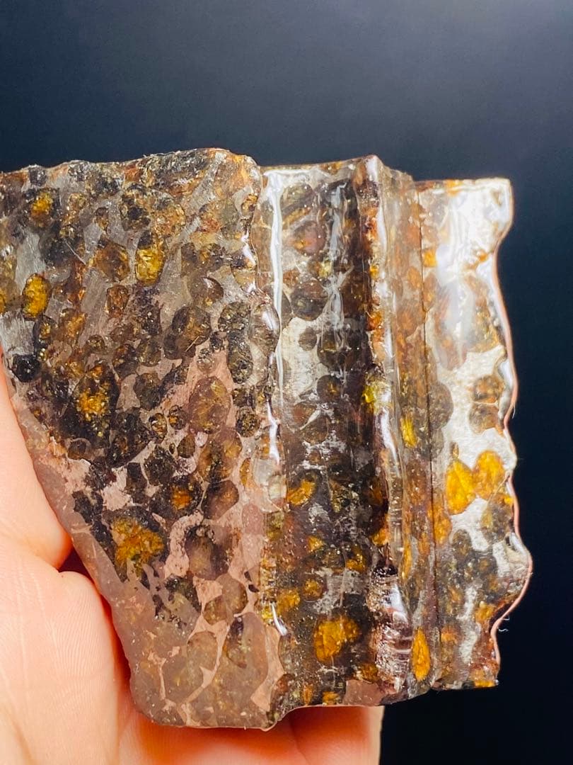 パラサイト隕石 258g 隕石 石鉄隕石 筆立て セリコ隕石 隕石原石