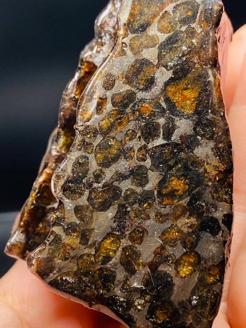 パラサイト隕石 258g 隕石 石鉄隕石 筆立て セリコ隕石 隕石原石