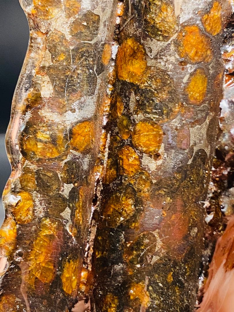 パラサイト隕石 258g 隕石 石鉄隕石 筆立て セリコ隕石 隕石原石