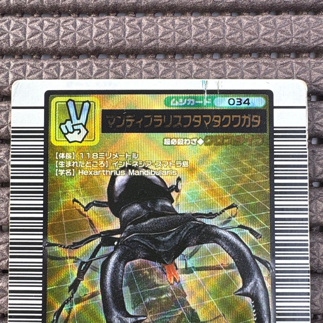 マンディブラリスフタマタクワガタ 2004ファースト拡張 金 ムシキング