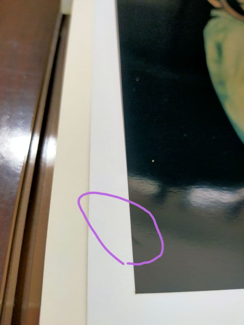 椎名林檎 直筆サイン入り特大ポラロイド写真 - メルカリ