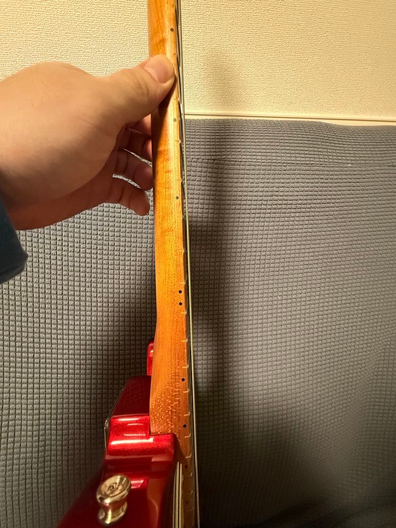 25.12月新品購入　Bacchus BTE-3-RSM H H テレキャスター