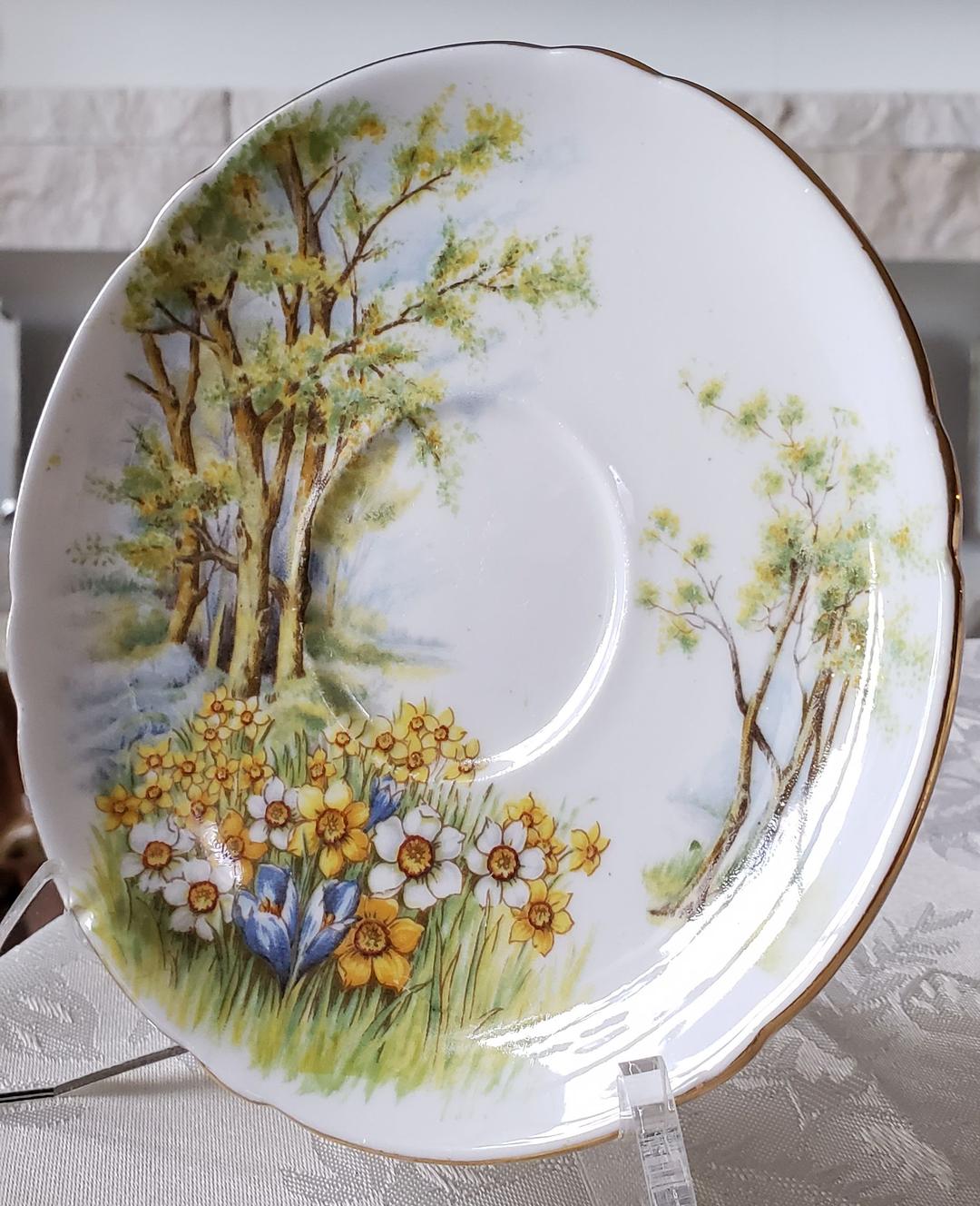 シェリー ③ ダフォディルタイム 水仙 風景画 カップ ビンテージ