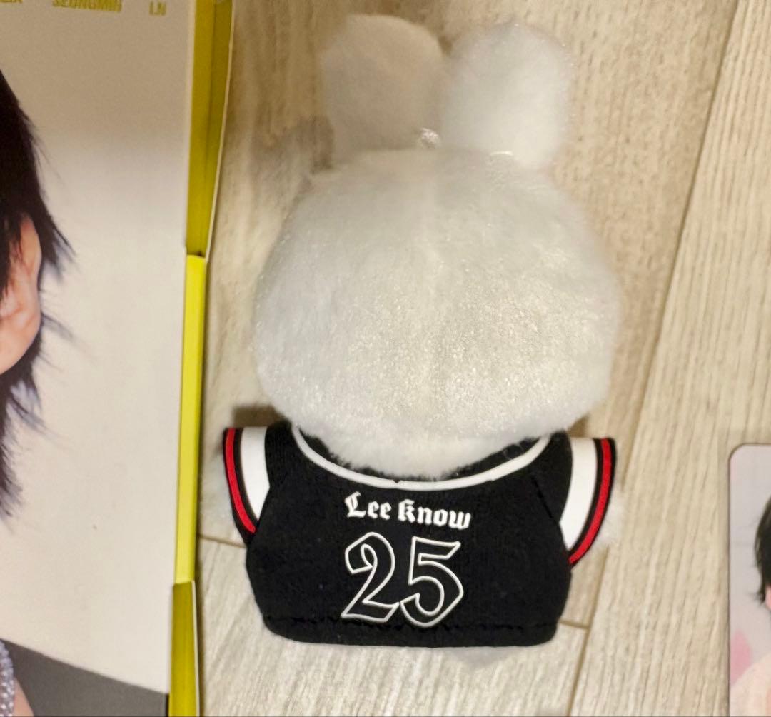 straykids リノ リビ セット