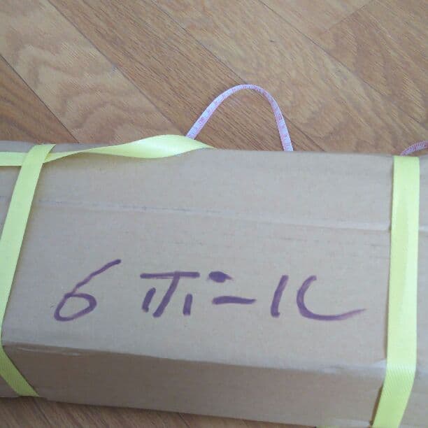 タロウゴイ  鯉のぼりセット。ポールつき