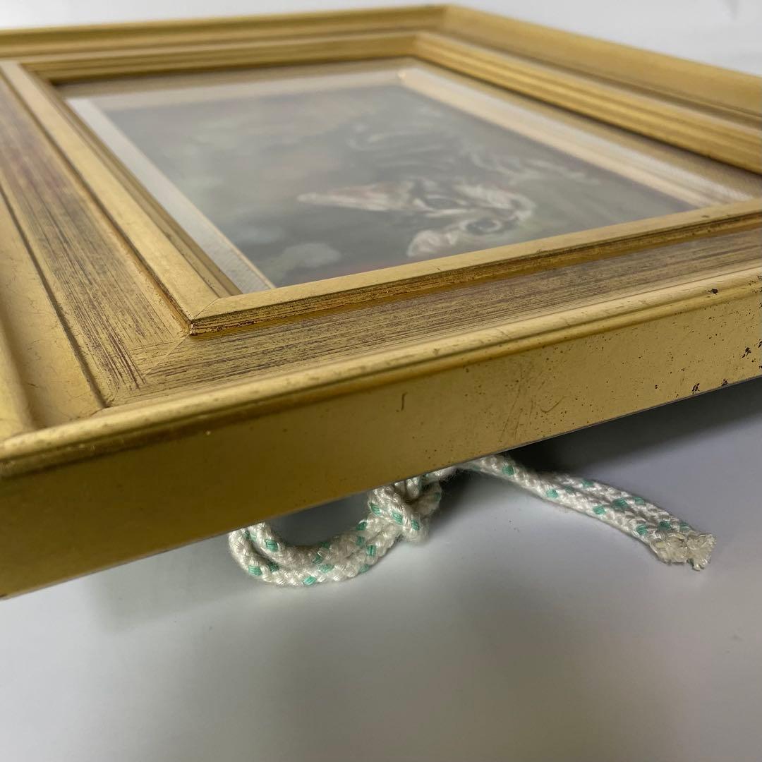 梅澤恭介 油彩 油絵 猫 アメリカンショートヘア アメショ 絵画