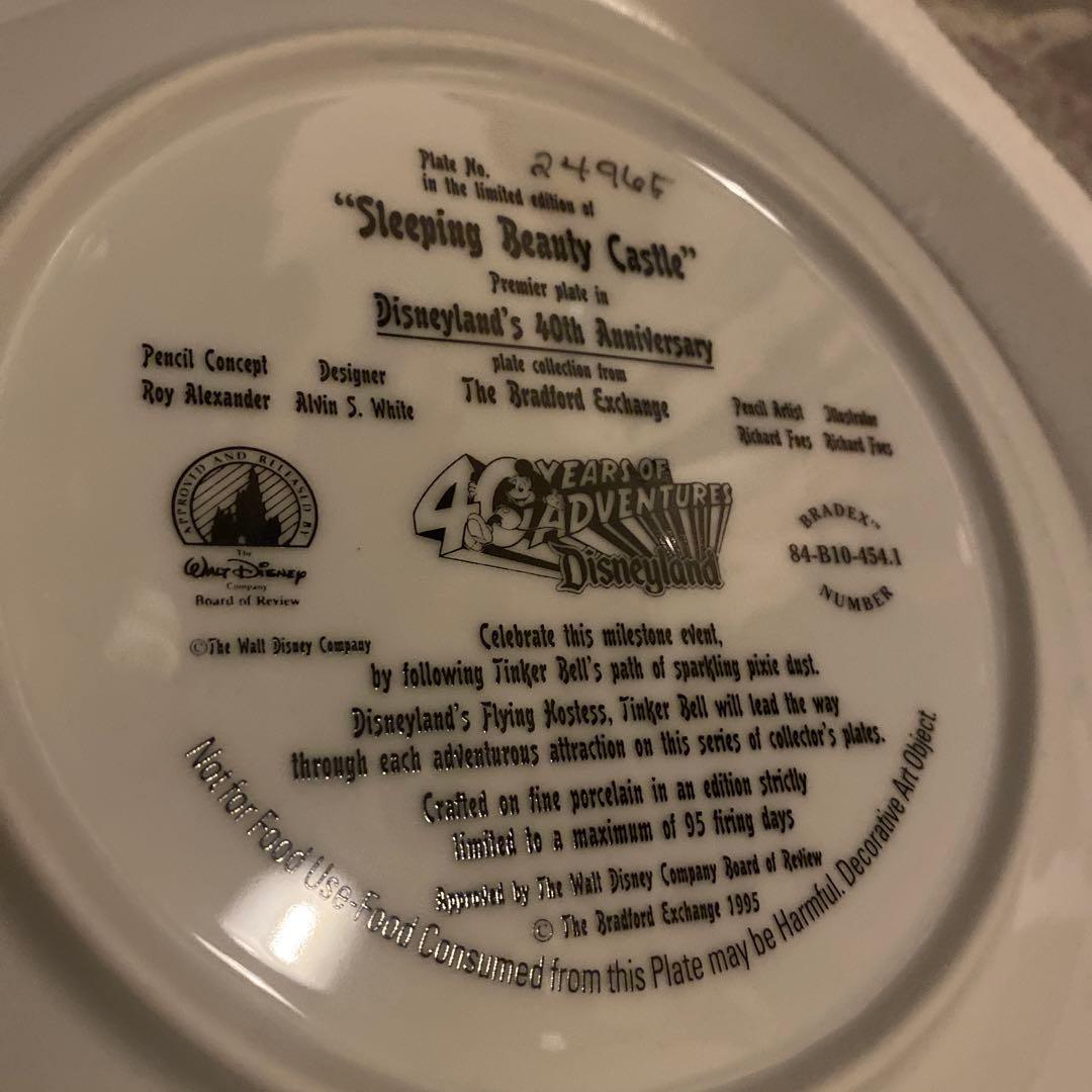 Sleepieg Beauty Castlle ディズニー　皿　シリアル入り