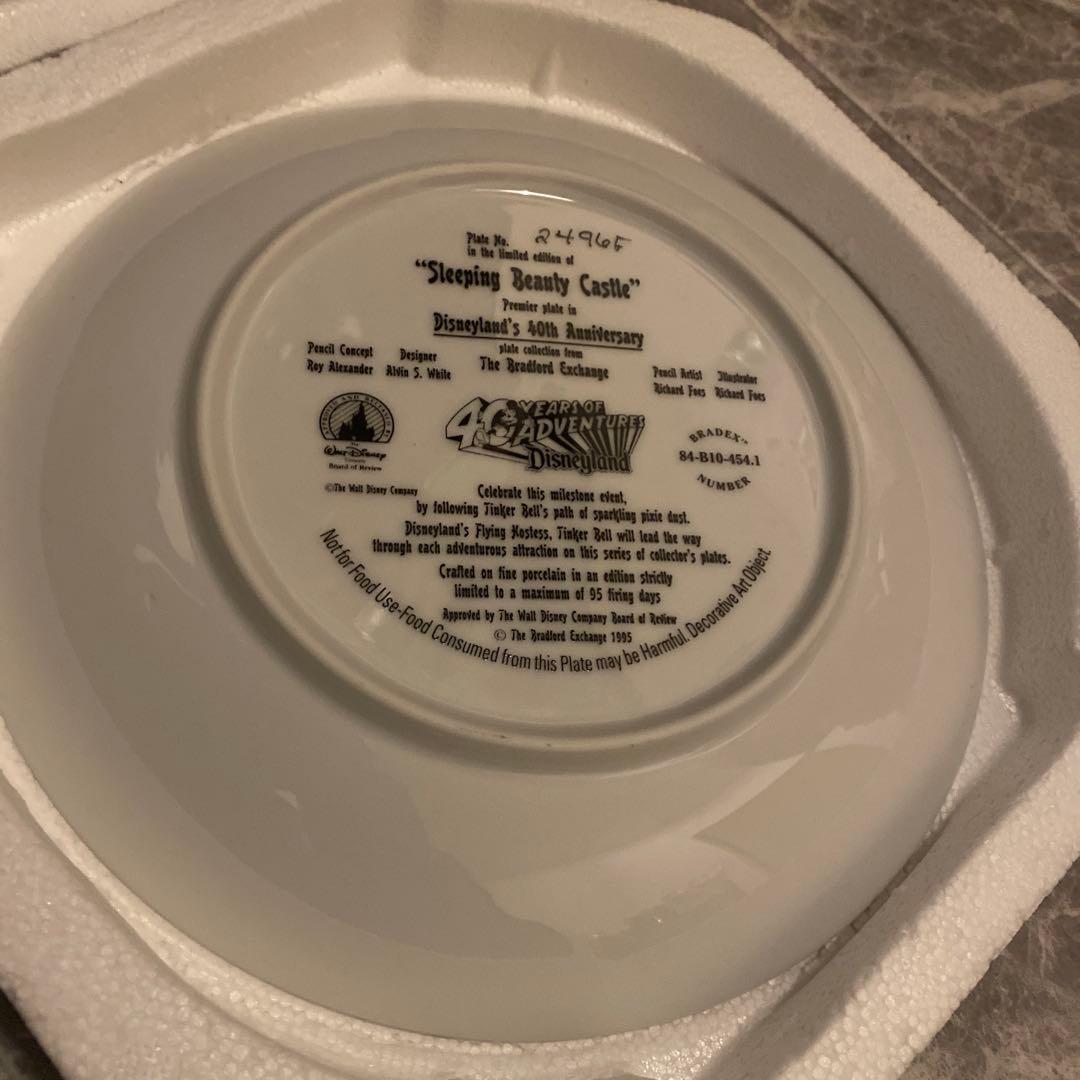 Sleepieg Beauty Castlle ディズニー　皿　シリアル入り