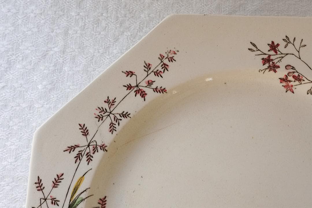 イギリスアンティーク　ボタニカル柄　オクトゴナル　プレート　22.1cm　B