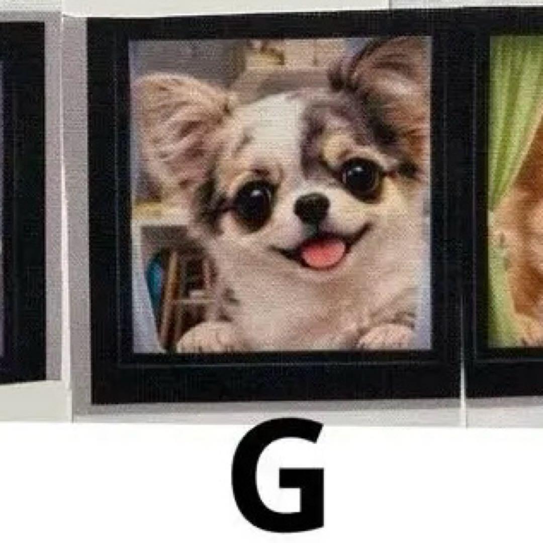 わんちゃんパネルご確認用