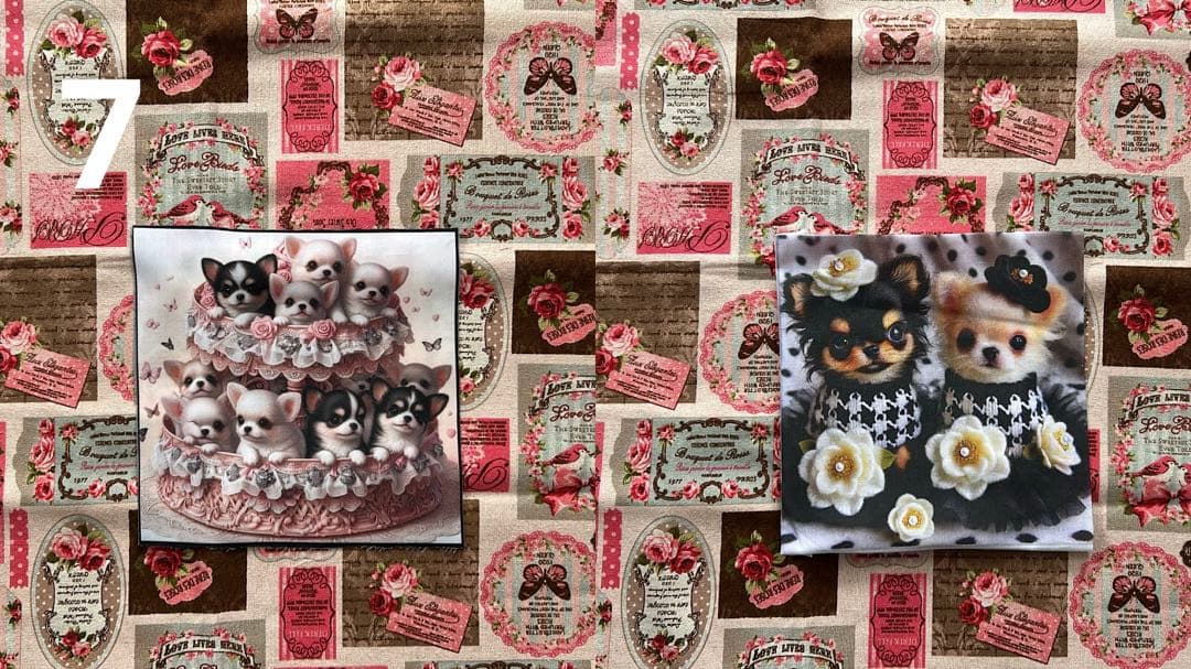 わんちゃんパネルご確認用