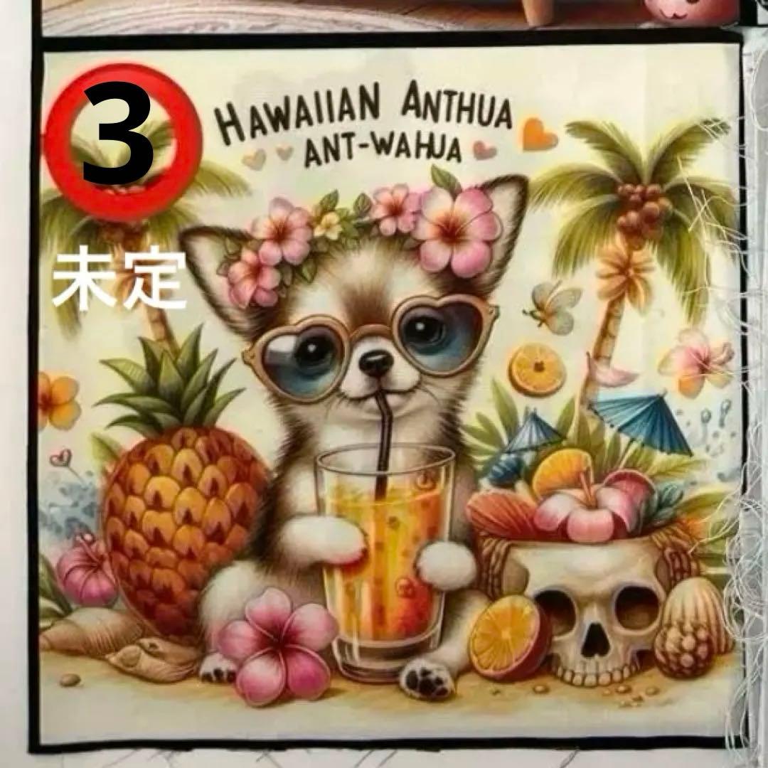 わんちゃんパネルご確認用