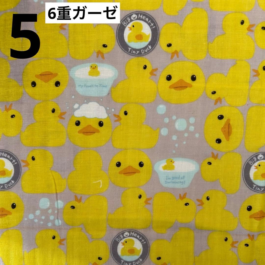 わんちゃんパネルご確認用