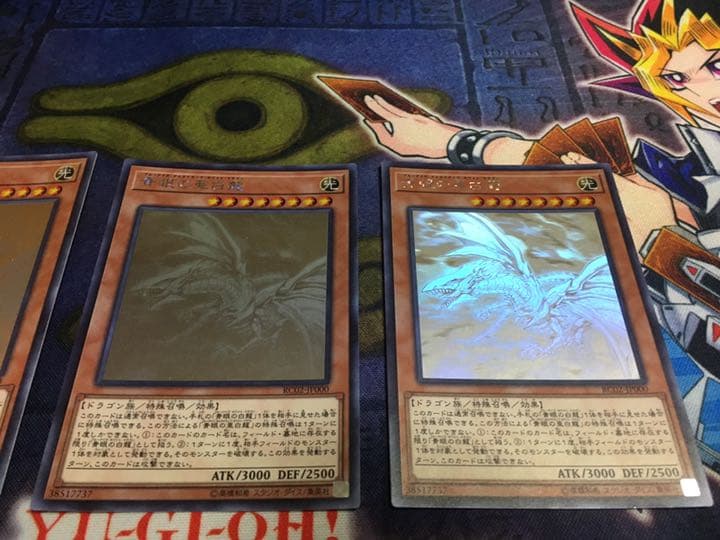 遊戯王 青眼の亜白龍 ホログラフィックレア 3枚セット