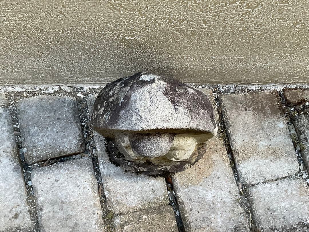 宝珠地蔵　地蔵菩薩　石仏　仏像　高さ約35cm　新潟県　江戸時代　仏教美術