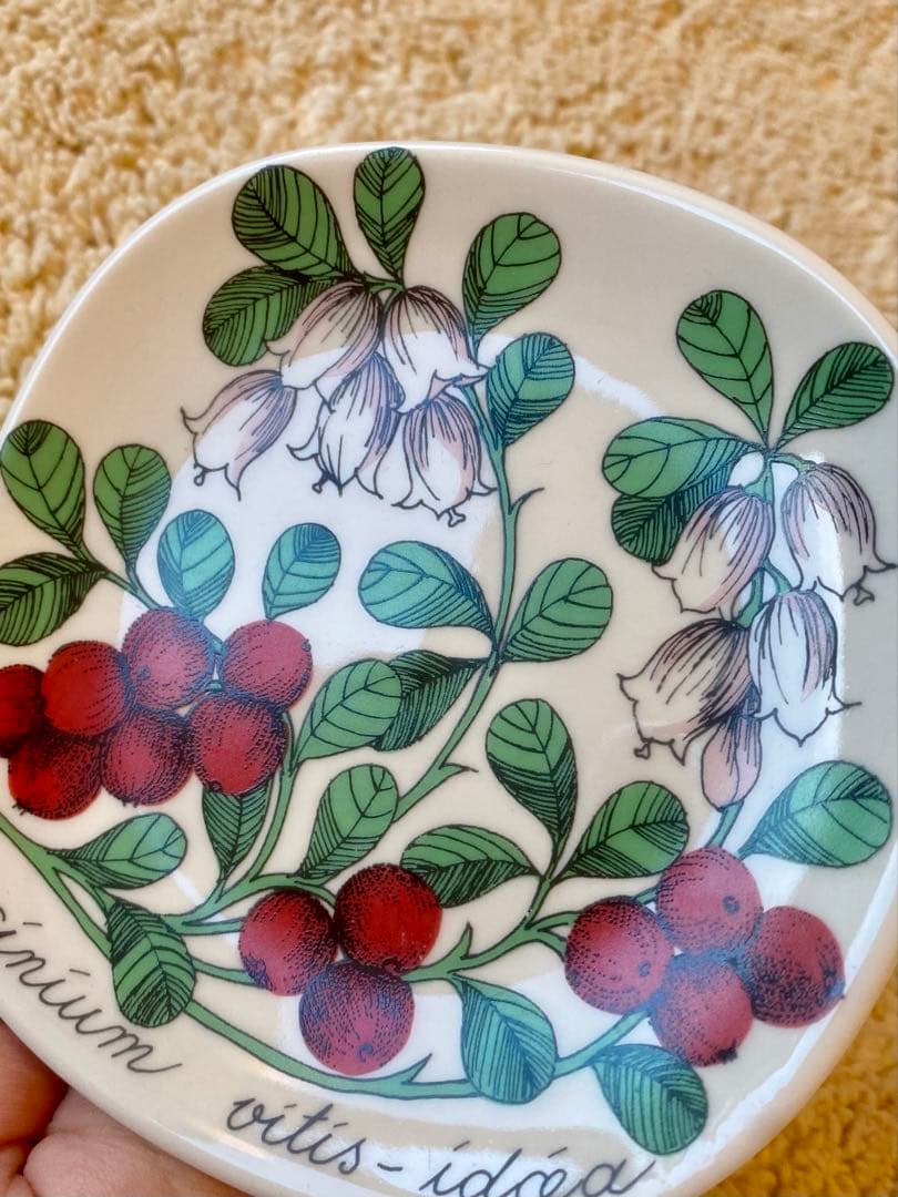 アラビア　ボタニカプレート　コケモモ