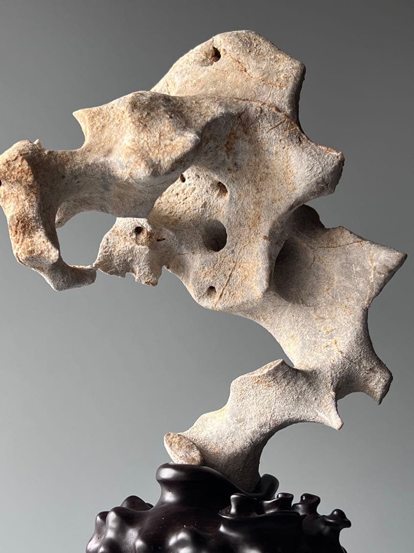 「清影」　天然石　太湖石　玲瓏石　鑑賞石　飾り石　中国美術　置物　水石　黑檀台座