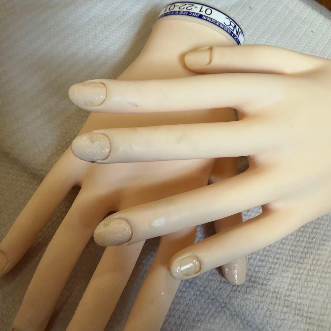 【箱無し】ネイリスト技能検定試験 JNEC認定モデルハンド 公式チップ付き