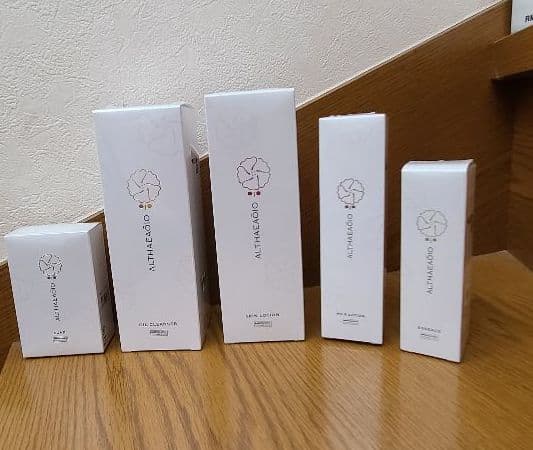 エルテオ　セプテムシリーズ！絶対正品