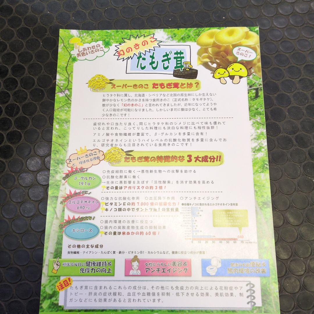 たもぎ茸スープ　20箱（30包入り）　健康スープ　幻の黄金キノコ　フコダイン