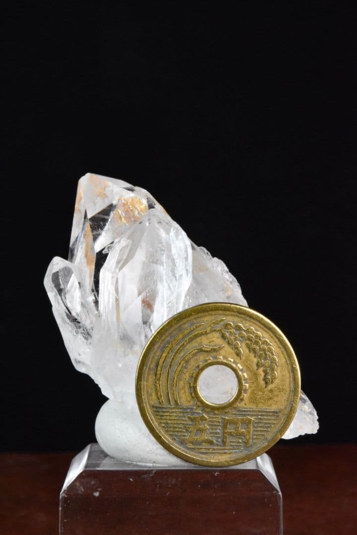 インドメルー産 ミニクラスター