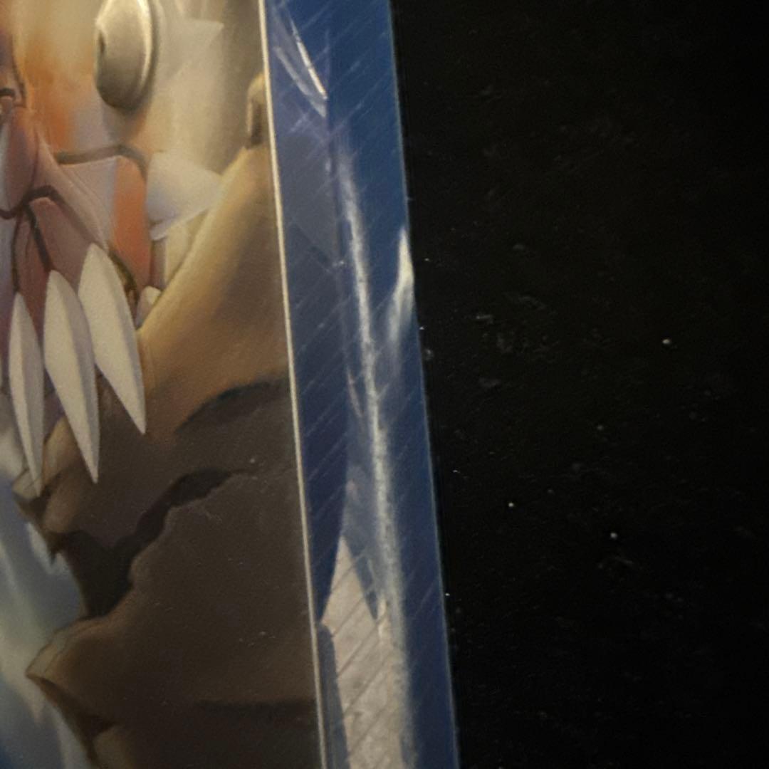 ポケモンカードゲーム ポケパーク プレミアムファイル　ブルーシート　割れあり