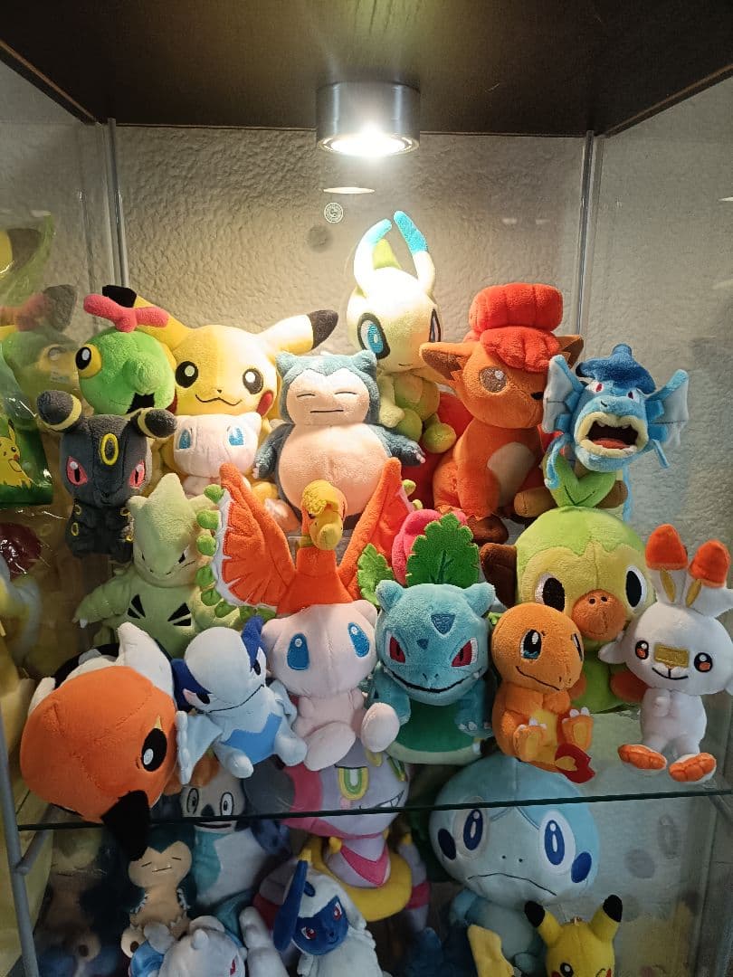 113体　 ポケモン　ポケモンセンター限定のみ　ぬいぐるみ　まとめ売り