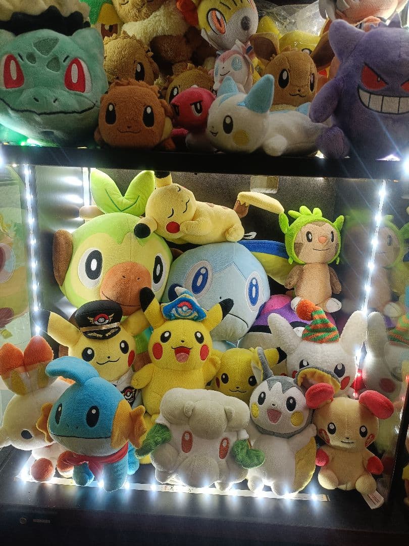113体　 ポケモン　ポケモンセンター限定のみ　ぬいぐるみ　まとめ売り