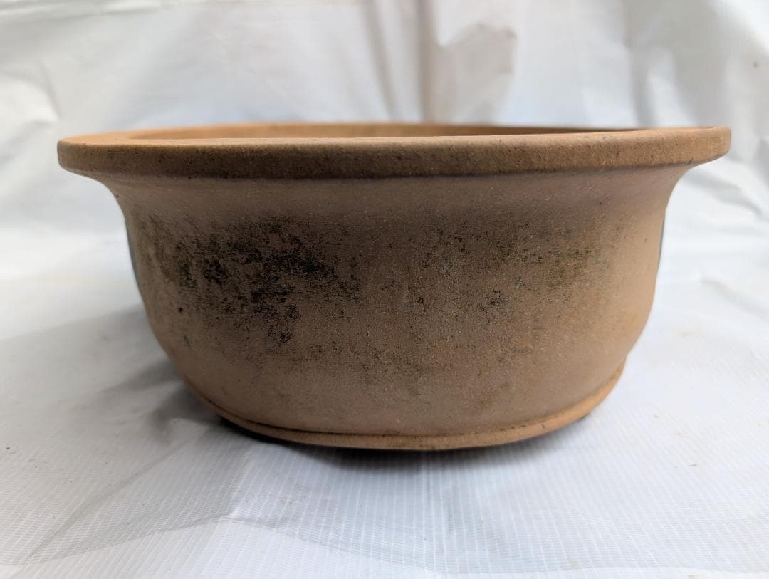 大型 盆栽鉢 楕円 絵鉢 約60cm 無銘 山水図 松柄 古鉢 盆栽用