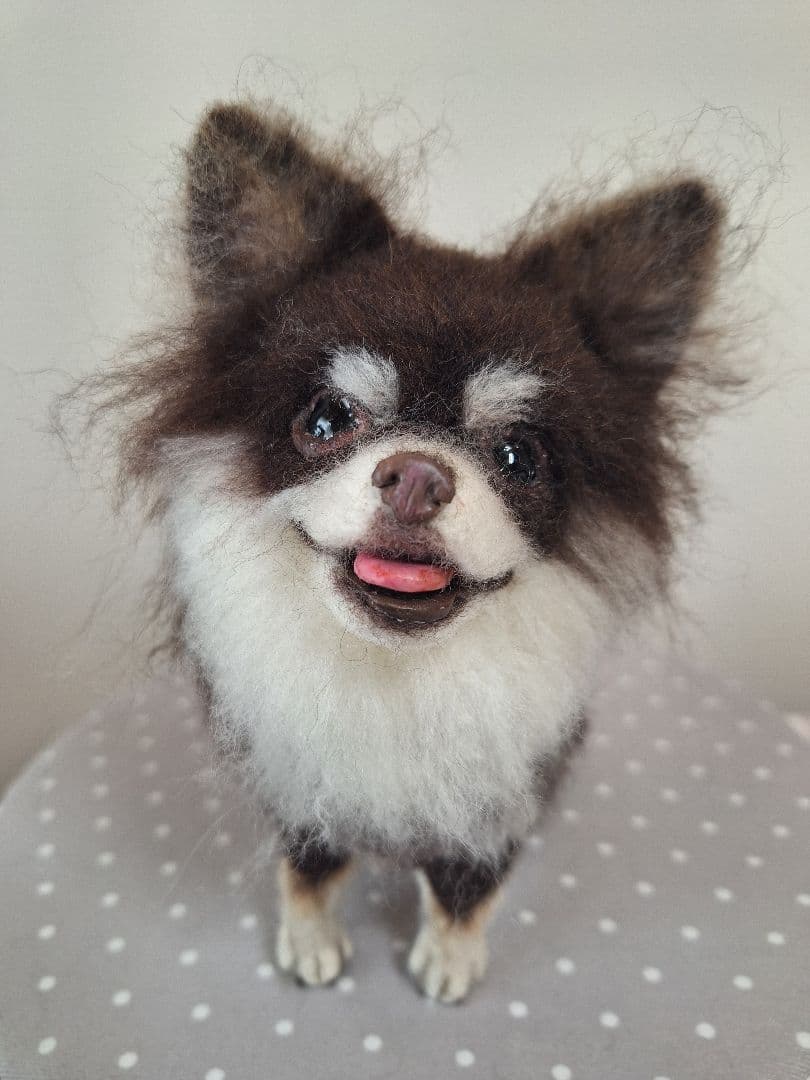 《確認用》羊毛フェルトチョコタン