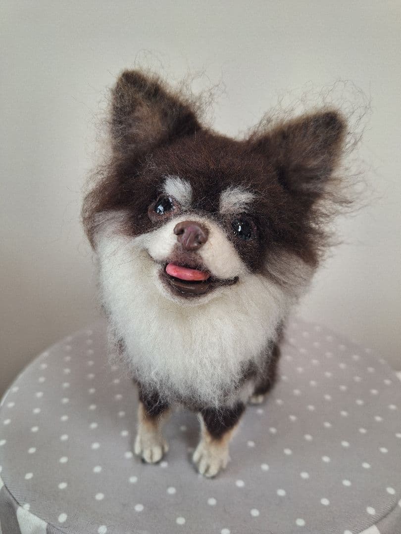 《確認用》羊毛フェルトチョコタン