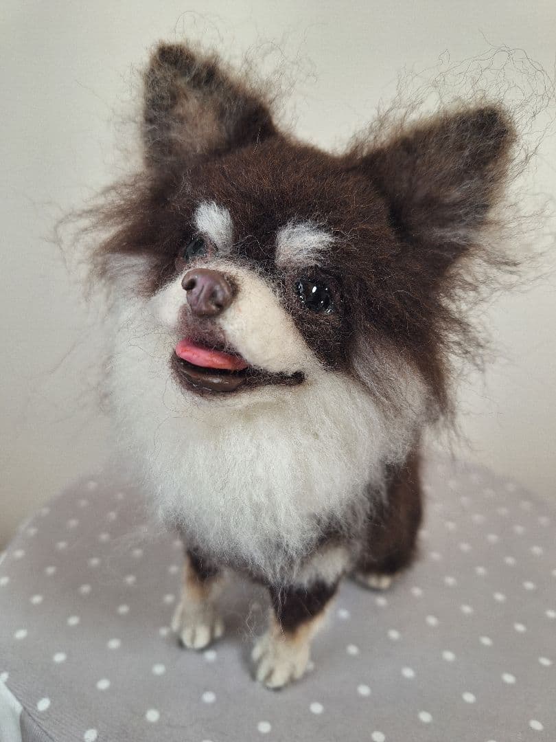 《確認用》羊毛フェルトチョコタン