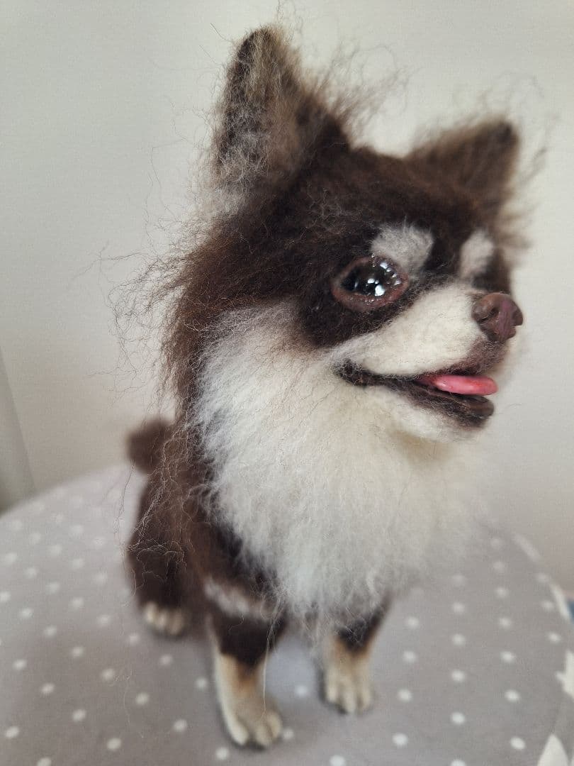 《確認用》羊毛フェルトチョコタン