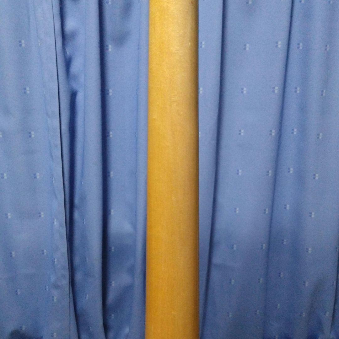 サカン様用 Bacchus テレキャスター バタースコッチブロンド