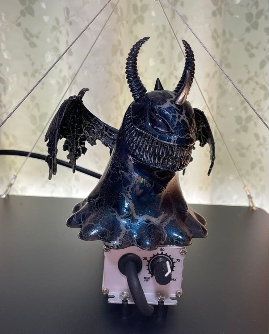 アガベ　真麻花龍子株、超お買い得！