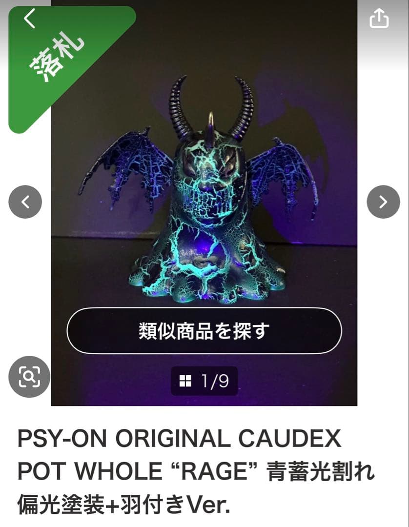 アガベ　真麻花龍子株、超お買い得！