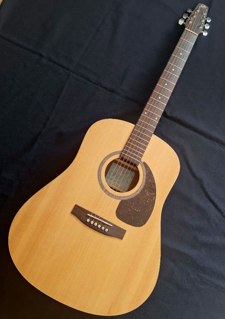 Seagull SM6 Spruce シーガル made in canada