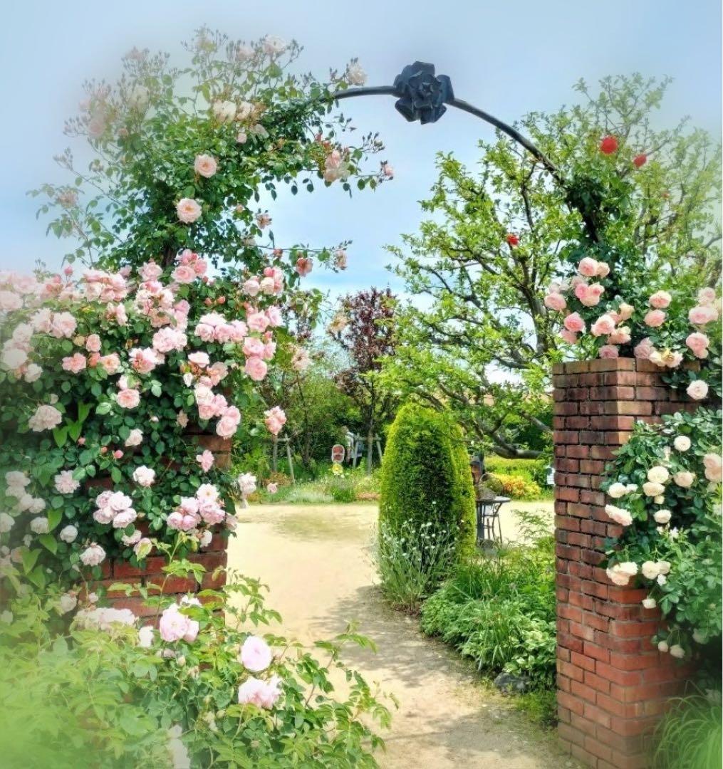 アンリ人形　ANRI サラ・ケイ　10㎝　　【薔薇のアーチの下でウェディング】