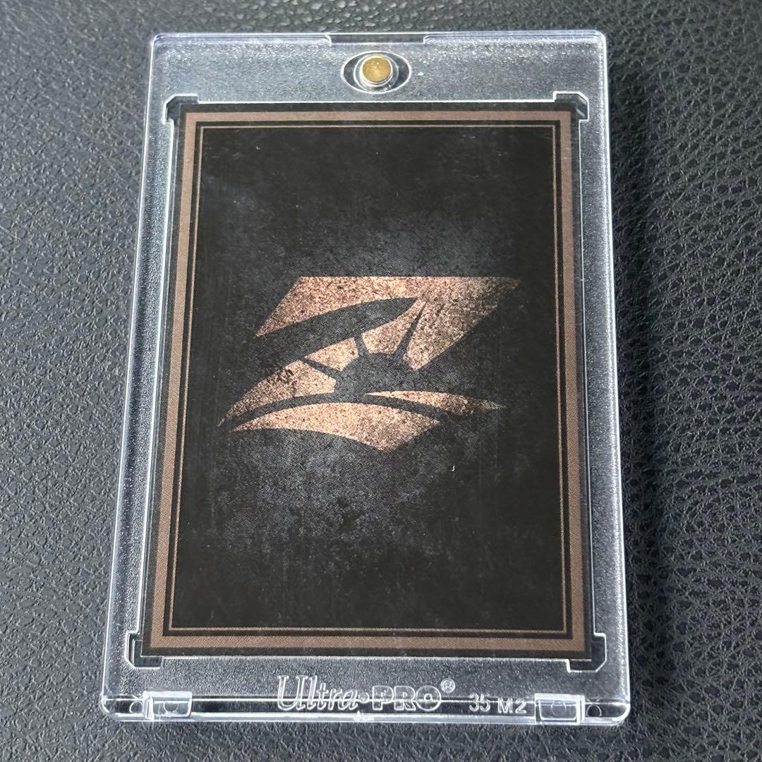 RIZIN ライコレ 武尊 カード③ - メルカリ