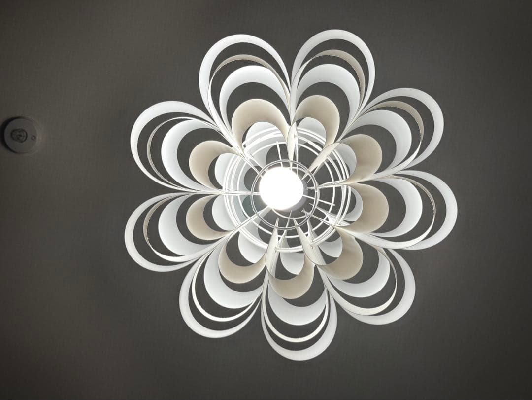 【美品】P.P. LAMP SHADE Don2 照明作家　谷俊幸さんの作品