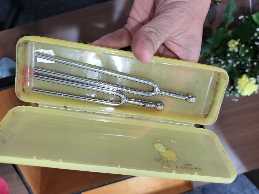 琴13弦　2面セット