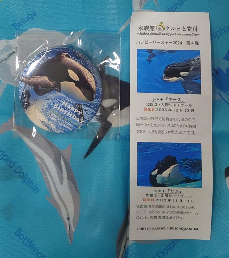 名古屋港水族館 ガチャ 缶バッジ シャチ アース - メルカリ