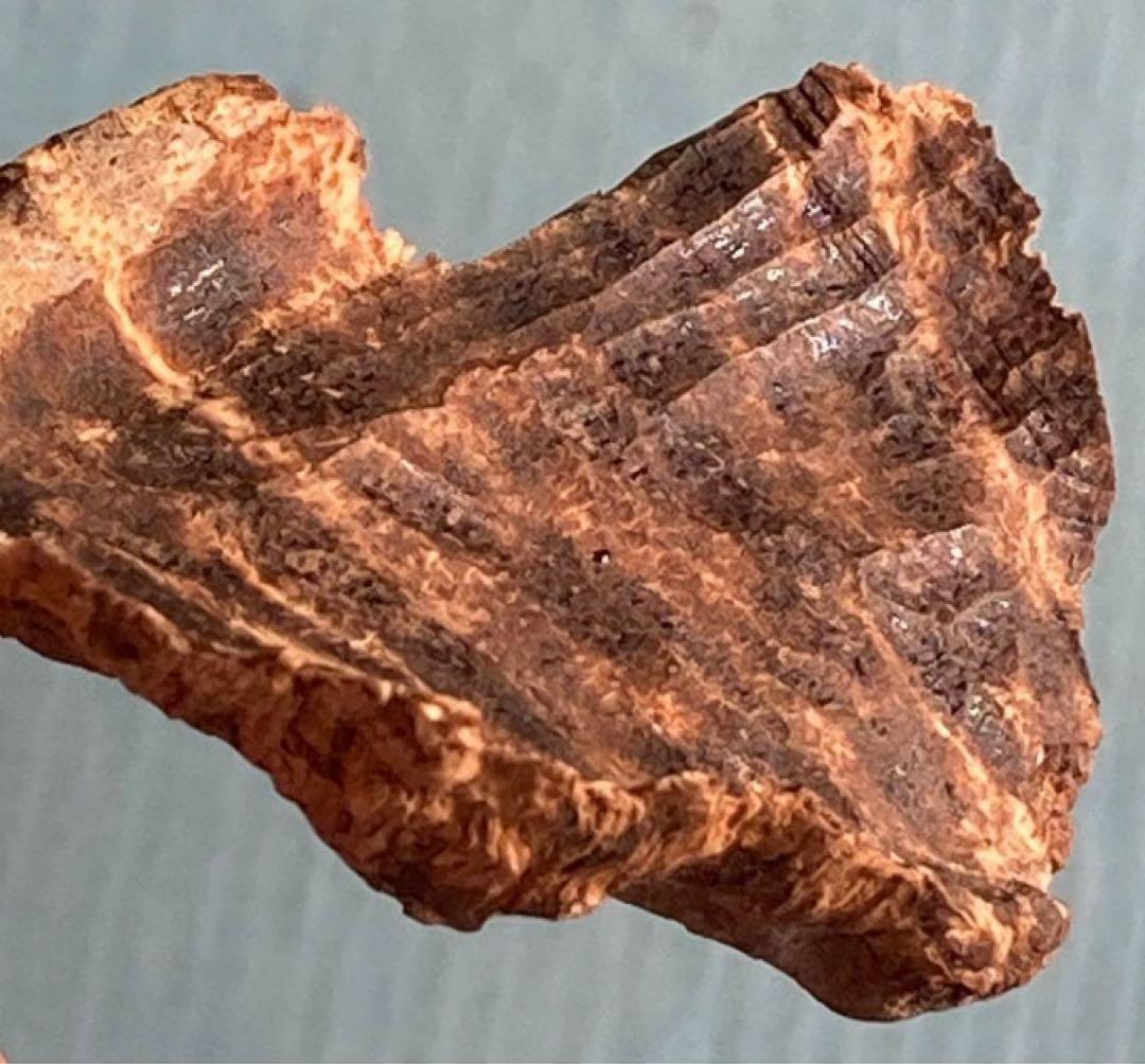 シャム　シャム沈香　沈香　天然沈香　香木 3.58g